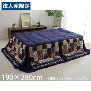 CPqR zc ȃXy[X^Cv 唻 ` 190×280cm lCr[ G5578619 [  ȃXy[X k mfBbN 􂦂 ]wsxwiꕔn揜jx