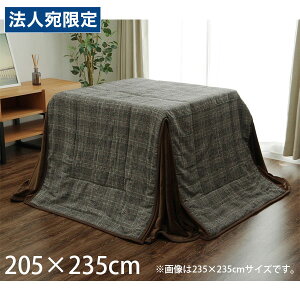 CPqR o zc nC^Cv ` 205×235cm O[ BRN205235 [  ȃXy[X rp {bNX^ 􂦂 ]wsxwiꕔn揜jx