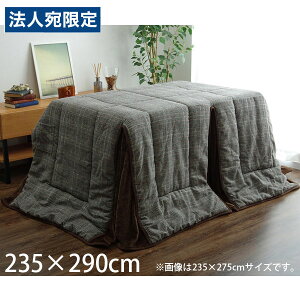 CPqR o zc nC^Cv ` 235×290cm O[ BRN235290 [  ȃXy[X rp {bNX^ 􂦂 ]wsxwiꕔn揜jx