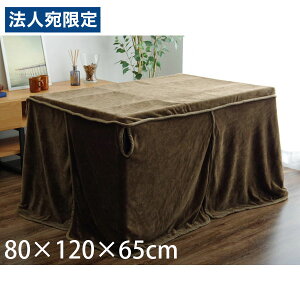 CPqR t[ |ѕz nC^Cv ` 80×120×65cm uE FLR120 [  zc | ѕz rp {bNX^ 􂦂 ]wsxwiꕔn揜jx