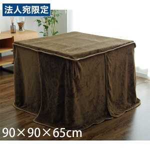 CPqR t[ |ѕz nC^Cv ` 90×90×65cm uE FLR90 [  zc | ѕz rp {bNX^ 􂦂 ]wsxwiꕔn揜jx