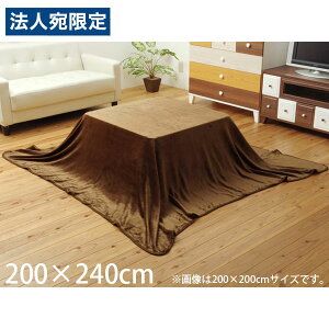 CPqR t[ |ѕz tbg^Cv ` 200×240cm uE G5890919 [  zc | ѕz 􂦂 ]wsxwiꕔn揜jx