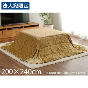 CPqR Xpbg zc ȃXy[X^Cv ` 200×240cm x[W G6846119 [  ȃXy[X RpNg[ n 􂦂 ]wsxwiꕔn揜jx