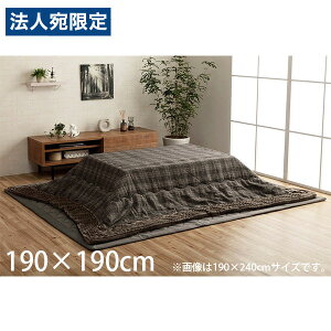 CPqR o |zc ` 190×190cm O[ G6840809 [  zc | RpNg[ 􂦂 ]wsxwiꕔn揜jx