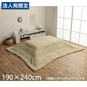 CPqR sAX zc o[Vu ` 190×240cm ~L[x[W G6843219 [  |zc | y n Vv ]wsxwiꕔn揜jx