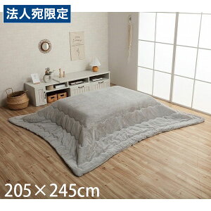 CPqR sAX zc o[Vu ` 205×245cm p[O[ G6843039 [  |zc | y n Vv ]wsxwiꕔn揜jx