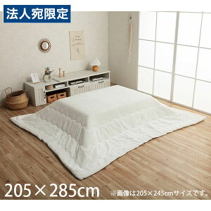 CPqR sAX zc o[Vu ` 205×285cm Xm[zCg G6843049 [  |zc | y n Vv ]wsxwiꕔn揜jx