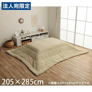 CPqR sAX zc o[Vu ` 205×285cm ~L[x[W G6843049 [  |zc | y n Vv ]wsxwiꕔn揜jx