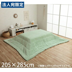 CPqR sAX zc o[Vu ` 205×285cm sX^`IO[ G6843049 [  |zc | y n Vv ]wsxwiꕔn揜jx