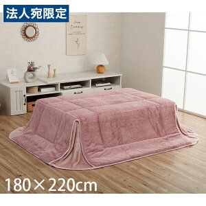 CPqR sAX zc ȃXy[X^Cv ` 180×220cm _XeBsN G6843129 [  |zc ȃXy[X y n Vv ]wsxwiꕔn揜jx