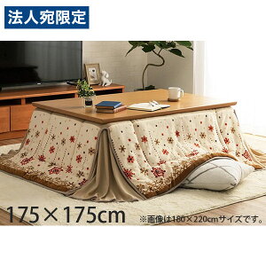 CPqR ~L[ zc ȃXy[X^Cv ` 175×175cm AC{[ G280061421 [  ȃXy[X mfBbN k 􂦂 ]wsxwiꕔn揜jx