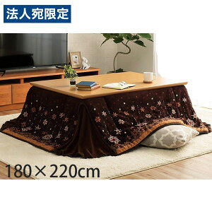 CPqR ~L[ zc ȃXy[X^Cv ` 180×220cm uE G280061721 [  ȃXy[X mfBbN k 􂦂 ]wsxwiꕔn揜jx