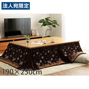 CPqR ~L[ zc ȃXy[X^Cv 唻 ` 190×250cm uE G280064621 [  ȃXy[X mfBbN k 􂦂 ]wsxwiꕔn揜jx