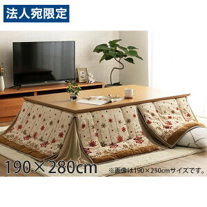 CPqR ~L[ zc ȃXy[X^Cv 唻 ` 190×280cm AC{[ G280064721 [  ȃXy[X mfBbN k 􂦂 ]wsxwiꕔn揜jx