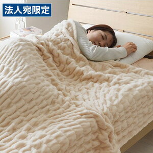 �C�P�q�R �V���N�� �ѕz �V���O�� 140×200cm �A�C�{���[ SKR1019162 [ �Q�� �􂦂� �L�k�� �y�� �y�� �g���� �V���v�� ���n ]�w����s�x�w���������i�ꕔ�n�揜���j�x