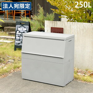 OXgbJ[ O{bNX S~ z{bNX [ X { GRf O[w@K 250L X TXeBChwsxwiꕔn揜jx