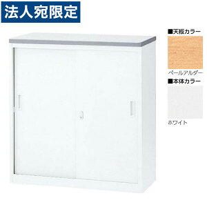 ���� NS�J�E���^�[ S�^�C�v(���t�j W900×D454×H950 NSH-09SPW �i�V�y�[���A���_�[/�{�̃z���C�g�j�w����s�x�w���������i�ꕔ�n�揜���j�x