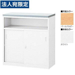  NSJE^[ U^Cv(tj W900×D454×H950 NSH-09UPW iVy[A_[/{̃zCgjwsxwiꕔn揜jx