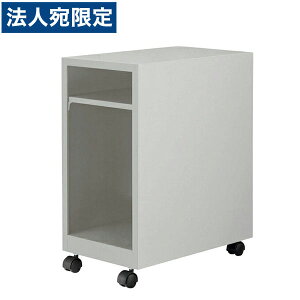 CI fXNA_[bN rWlXfXN EDV[Y W300×D500×H610mm CgO[ ED-N350UD 679-63wsxwiꕔn揜jx