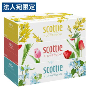 XRbeB eBbVy[p[ 250g 3 t[{bNX NVA