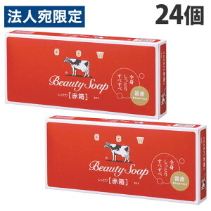 Ό Ō`Ό JEuh Ԕ M[TCY 6P×24 Ό oX   {fB\[v COW BRANDwiꕔn揜jx