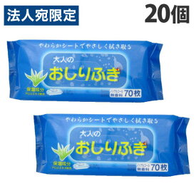 大人用おしりふき ノンアルコール 無香料 70枚入×20個 日用品 雑貨 介護用品 おむつ おしり からだ拭き