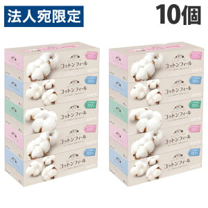 RbgtB[ eBbV 150g 5P 10 GG[wiꕔn揜jx