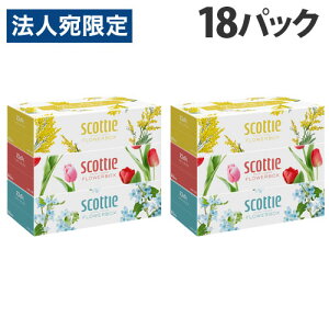 XRbeB eBbVy[p[ 250g 54(3×18pbN) t[{bNX NVAwiꕔn揜jx