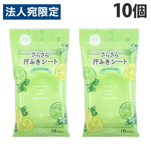 炳犾ӂV[g tbVVgX 18×10 09-205 {fBPA   V[g ς TT