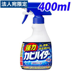 ԉ ̓JrnC^[nfBXv[ 400ml
