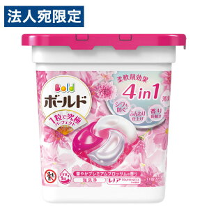 PG  {[h WF{[4D ؂₩v~AubT̍ { 11  p WF{[ _ܓ ߗޗp