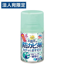 アース製薬 らくハピ お部屋の防カビ剤 カチッとおすだけ 無香料 防カビ 部屋 エアゾール 使い切り カビ防止 ハウスダスト