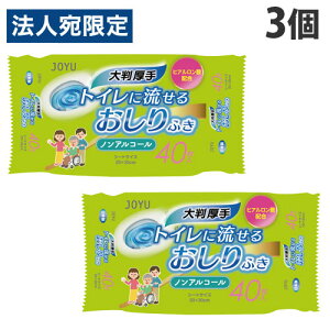 TpvH gCɗ邨ӂ 唻 mAR[ 40×3 ƒ뎆 EFbgV[g gCpi 傫 