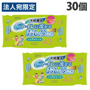 TpvH gCɗ邨ӂ 唻 mAR[ 40×30 ƒ뎆 EFbgV[g gCpi 傫 wiꕔn揜jx