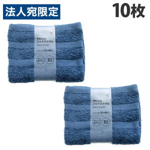 IJUL 炩tFCX^I 33×80cm lCr[ 10 ^I tFCX^I oXpi ʗpi  zwiꕔn揜jx