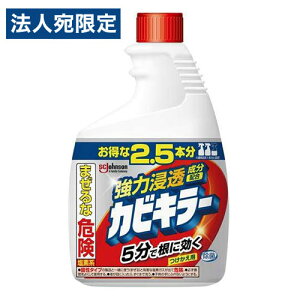 ジョンソン カビキラー つけかえ用 特大サイズ 1000g カビ取り 洗剤 カビ 黒カビ 除去 浴室 タイル 壁 塩素系