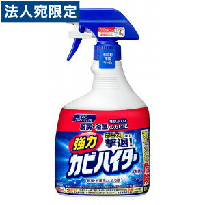 ԉ ̓JrnC^[ Xv[t 1000ml