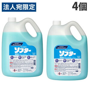 ԉ \t^[ Ɩp 4.5L×4wiꕔn揜jx