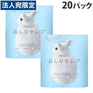 Zu gCbgy[p[ _u  80[(4[×20pbN) lsAwiꕔn揜jx