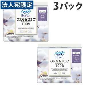 jE`[ \tB ͂ I[KjbNRbg100 ɑp 26cm H 13×3pbN