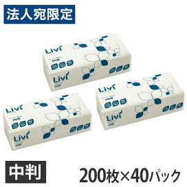 楽天市場】ピーシーエー PA1202G 元帳B 単票 『旧品番：PA1202F 