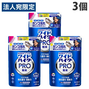 ԉ ChnC^[ PRO  l֗p 420g 3