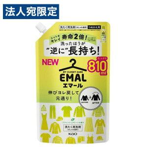 ԉ G}[ tbVO[̍ l֗p 810ml ꒅp  p  t t̐