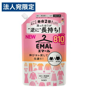 花王 エマール アロマティックブーケの香り 詰替用 810ml おしゃれ着用洗剤 洗濯洗剤 洗濯用 洗剤 液体 液体洗剤