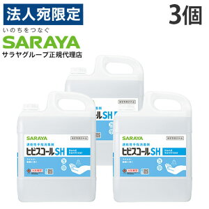 qrXR[ SH 5L 3 RbNt Tww򕔊Oixwiꕔn揜jx