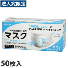 マスク 不織布 50枚 大人用 除菌OT