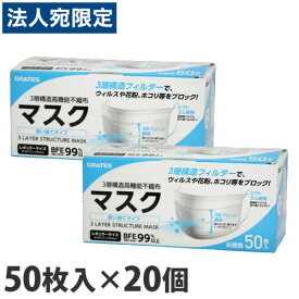 マスク 不織布 1000枚 大人用 除菌OT『送料無料（一部地域除く）』