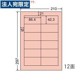 xV[ CL-11FHR ʏ\Ĕ^Cv bh A4 500V[gwsxwiꕔn揜jx