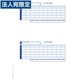 OBC 6202 単票封筒用支給明細書 300枚 『日時指定不可』『代引不可』『送料無料（一部地域除く）』