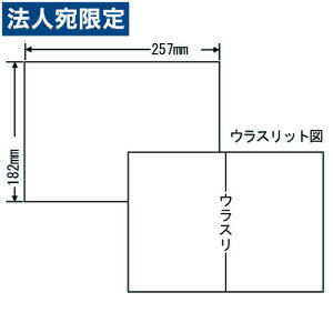 ���x���V�[�� ���m��� C1B5F �Ĕ����^�C�v B5 100�V�[�g×10���w����s�x�w���������i�ꕔ�n�揜���j�x
